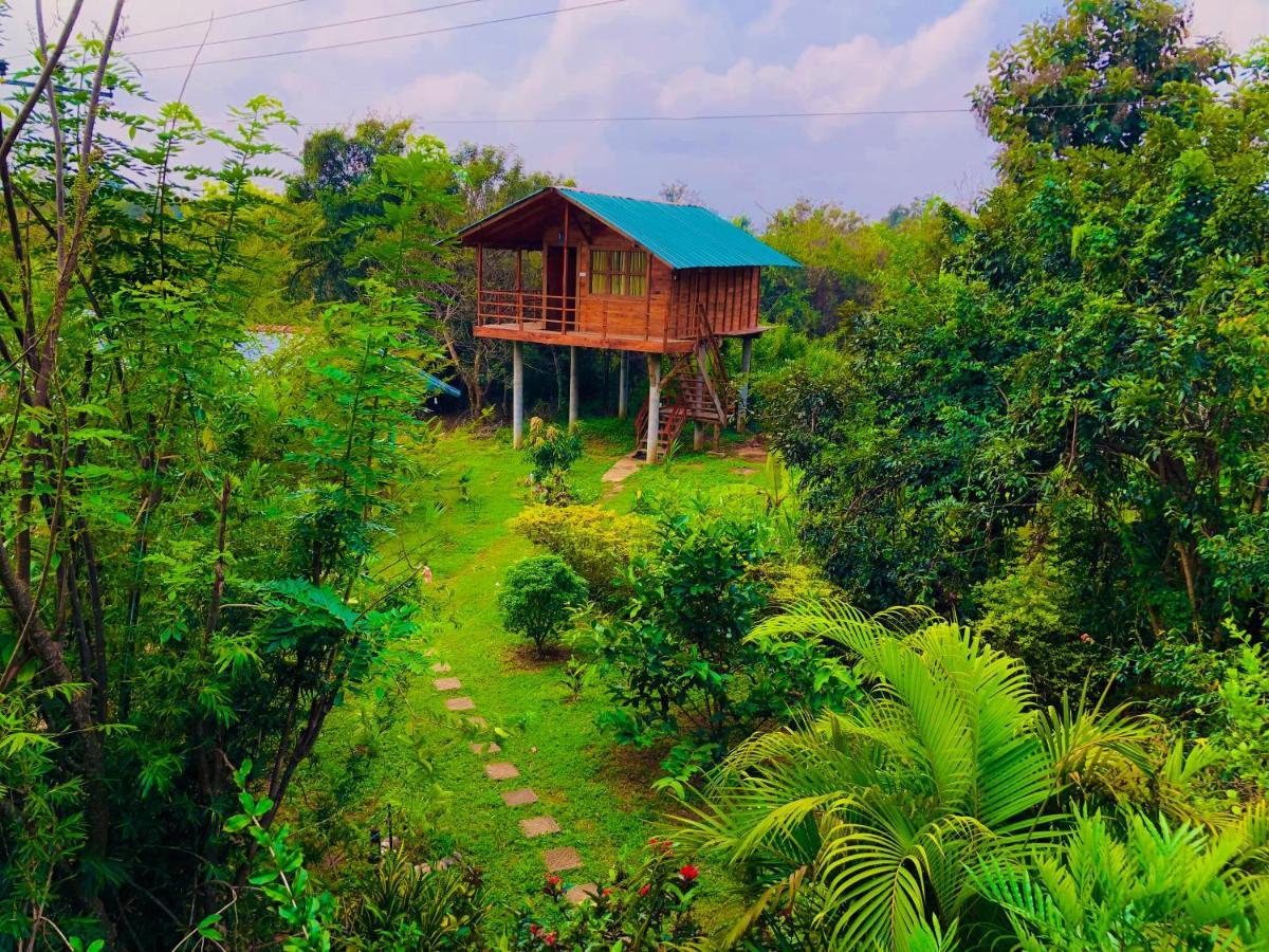 Sungreen Cottage Sigiriya Dış mekan fotoğraf