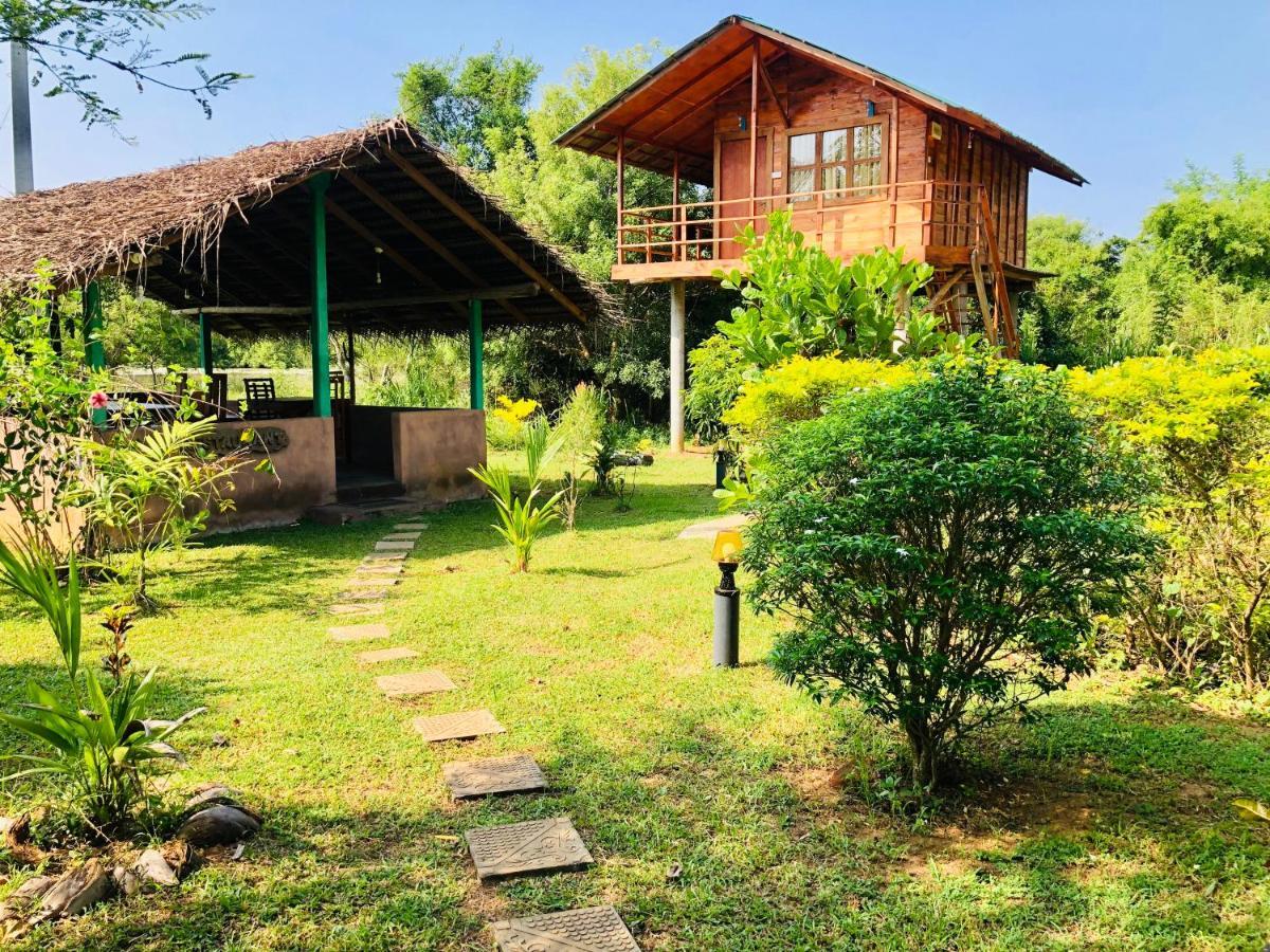 Sungreen Cottage Sigiriya Dış mekan fotoğraf